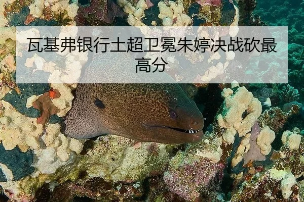 瓦基弗银行土超卫冕朱婷决战砍最高分