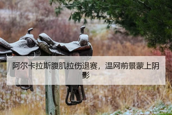 阿尔卡拉斯腹肌拉伤退赛，温网前景蒙上阴影